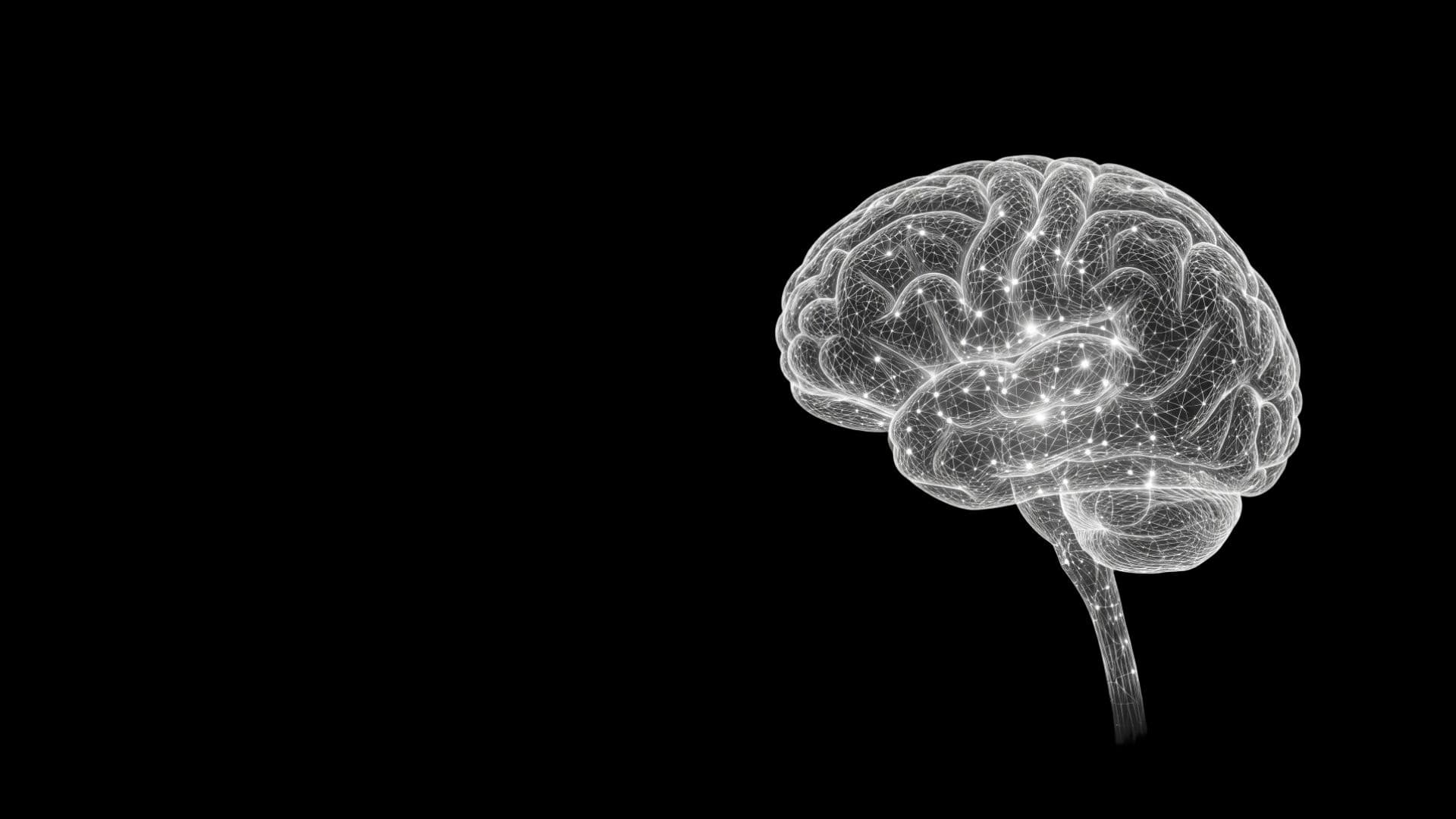 Neural network visualization